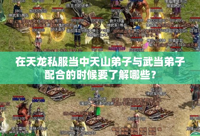 在天龙私服当中天山弟子与武当弟子配合的时候要了解哪些? 在天龙私服当中天山弟子与武当弟子配合的时候要了解哪些?